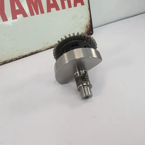 2005 1999-2006 Yamaha TTR250 TTR 250 Crankshaft Balance Assembly 4GY-11454-00-00