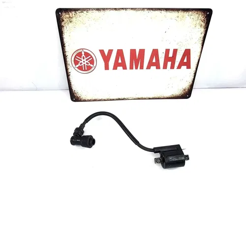 2000-2011 Yamaha TTR125 TTR 125 Ignition Coil And Spark Plug Cap 3KJ-82310-10-00