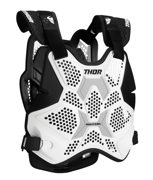 Thor Sentinel Pro Guard