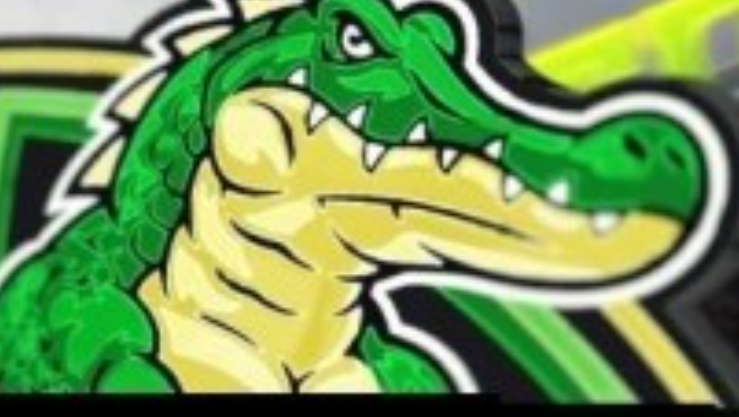 MitigatorUSA