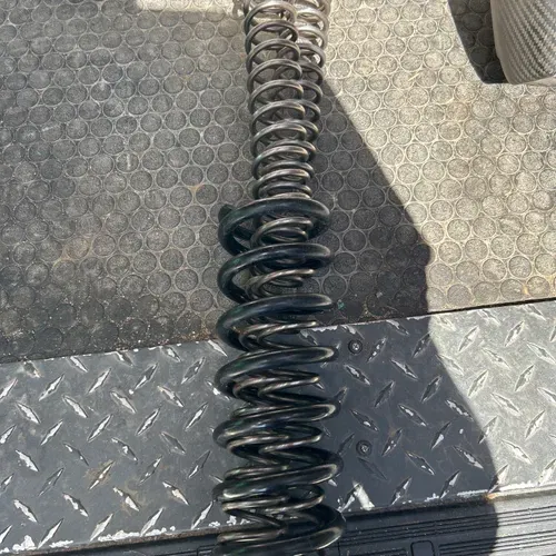 Wp Rear Spring And Kyb Fork Spring