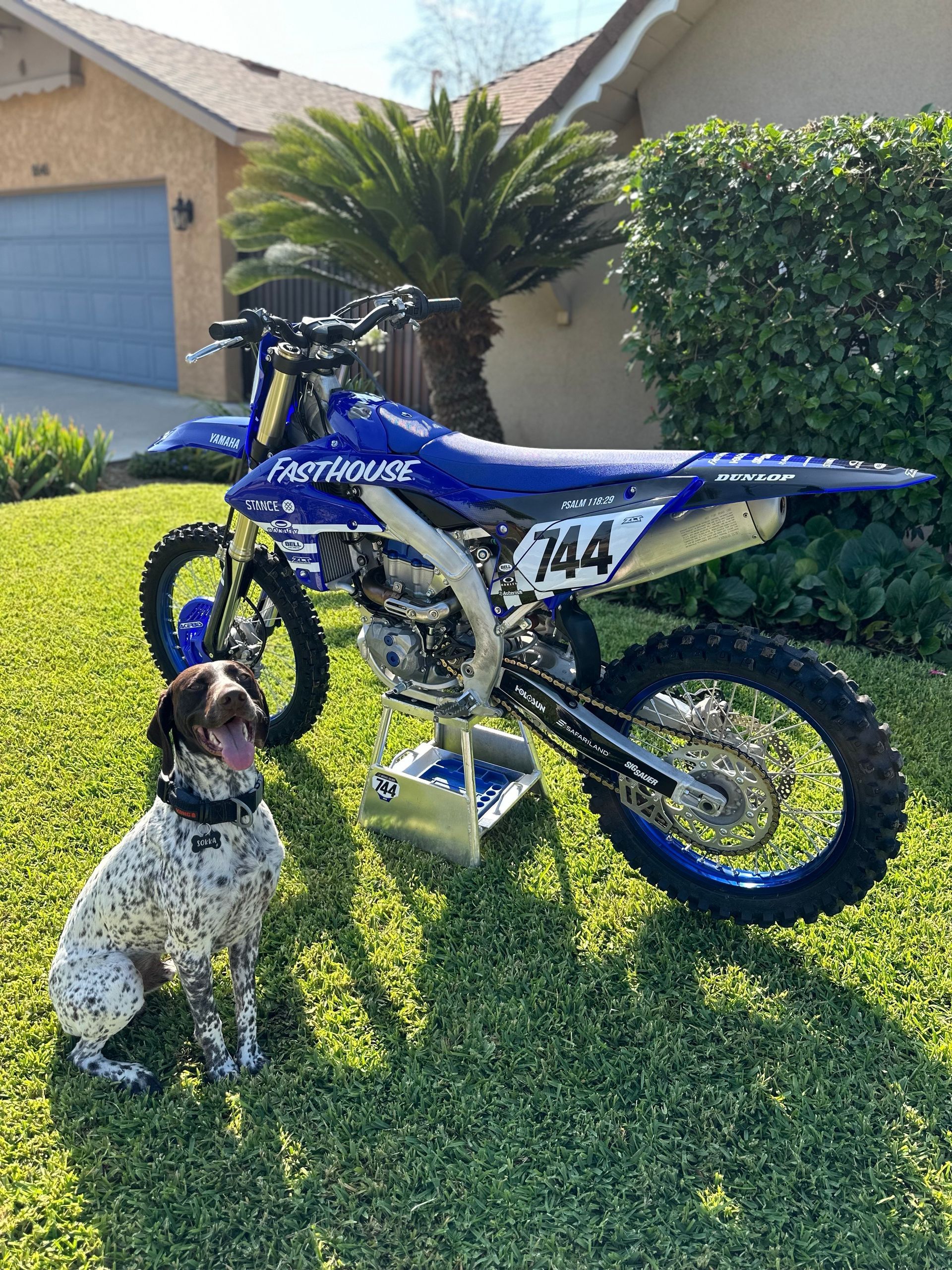 mxghost744