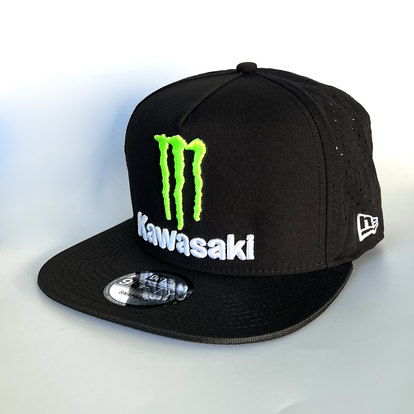 kawasaki monster energy