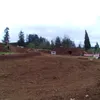buraap38TC
