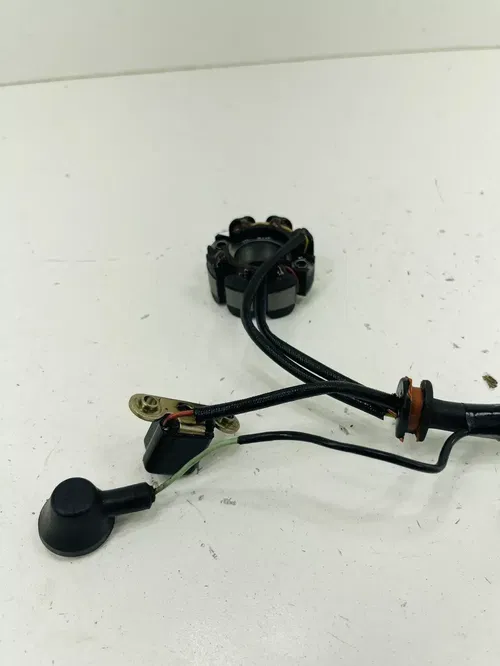 2006 KAWASAKI KX250F Kx 250f STATOR Magneto OEM 21003-0048 2004 - 2006 *SEE PIC