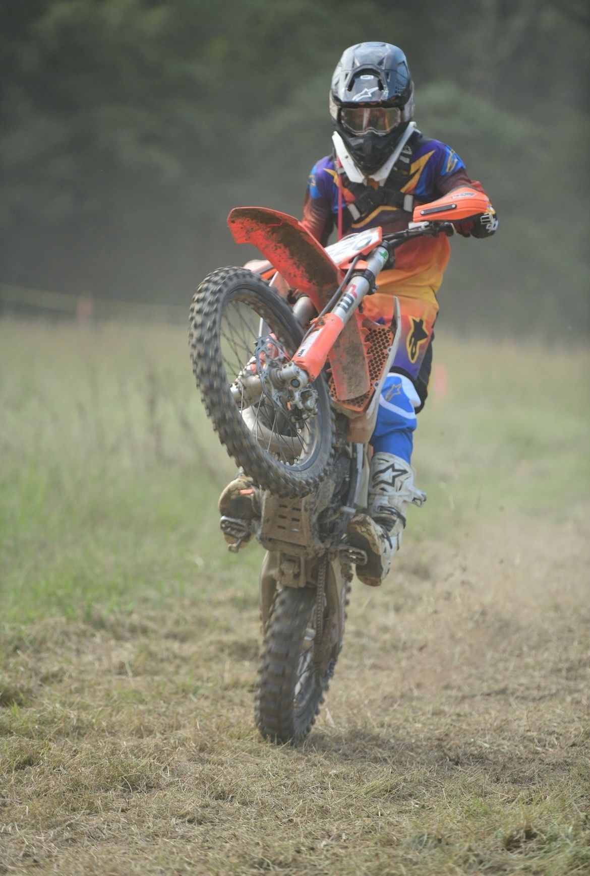 Joeymoto