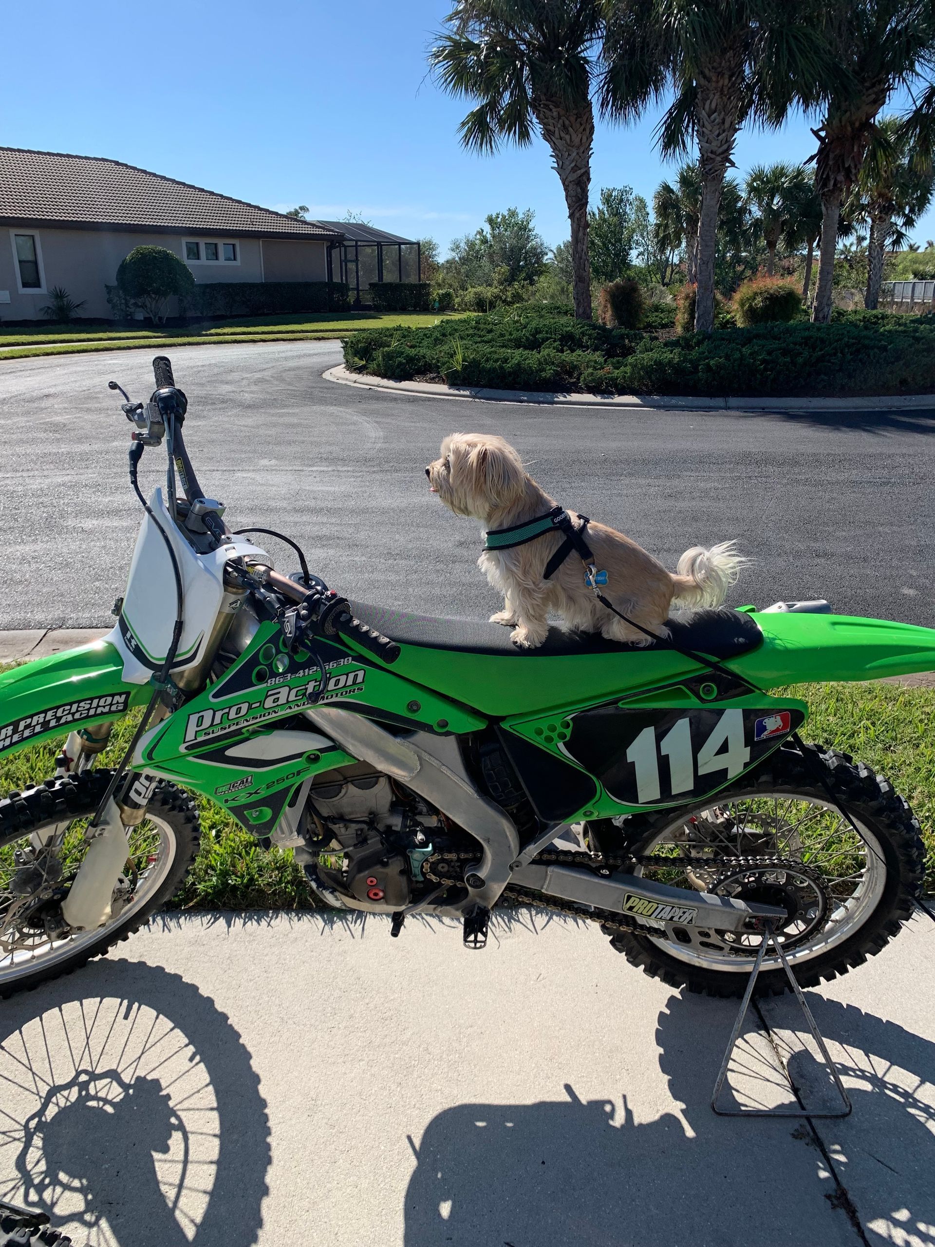 Joekx250f