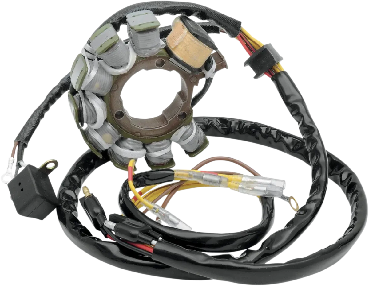 RICK'S MOTORSPORT ELECTRIC Stator 21-554