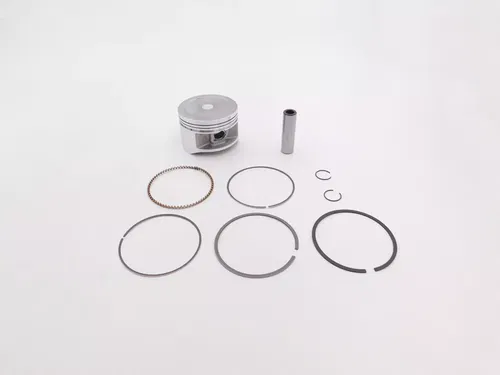 HONDA PISTON TOP END PISTON KIT STANDARD 2002-2014 TRX250 TE TM OEM NEW GENUINE