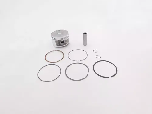 HONDA PISTON TOP END PISTON KIT STANDARD 2002-2014 TRX250 TE TM OEM NEW GENUINE