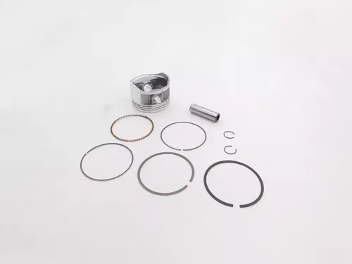 HONDA PISTON TOP END PISTON KIT STANDARD 2002-2014 TRX250 TE TM OEM NEW GENUINE