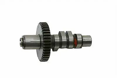 Side Kick Cam for Harley Davidson by V-Twin