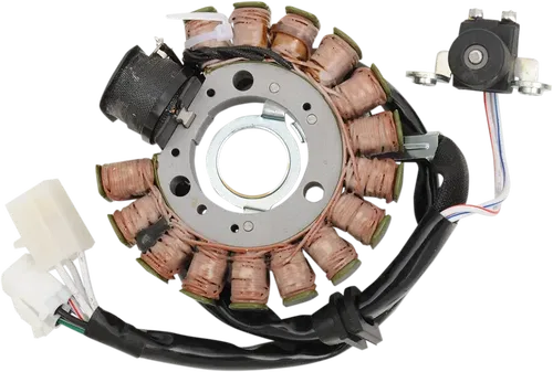 RICK'S MOTORSPORT ELECTRIC Stator - Fits Benelli Scooter 21-427