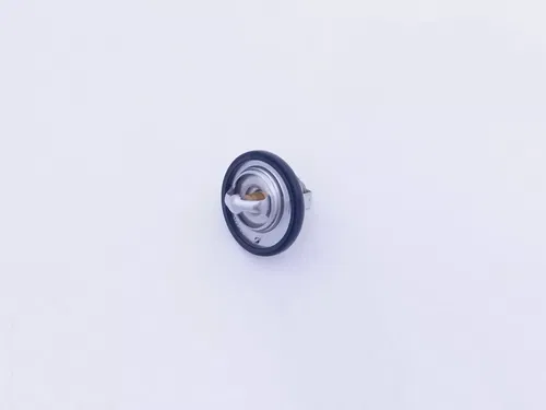 NEW OEM SUZUKI RADIATOR THERMOSTAT 17670-50F01 *SEE NOTES FOR FITMENT*