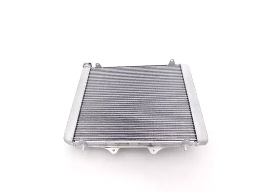 HONDA RADIATOR 2022-2023 TALON 1000  OEM NEW GENUINE 19010-HL6-AA1
