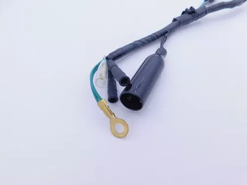 HONDA MAIN WIRE HARNESS 01-03 XR100R XR80R 04-09 CRF80F CRF100F GENUINE OEM NEW