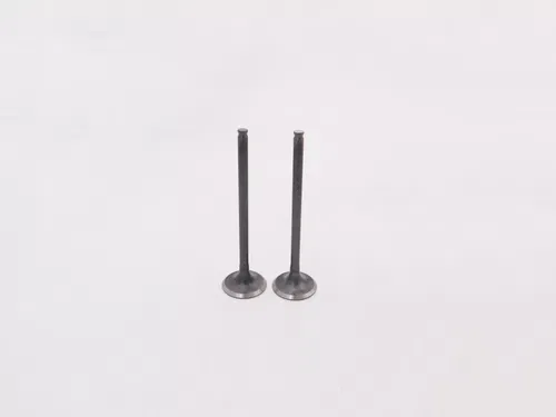 HONDA EXHAUST AND INTAKE VALVE SET 2007-2024 CRF150R CRF150RB OEM NEW GENUINE
