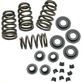 Spring Kit .650" 0926-2056 S&S Cycle