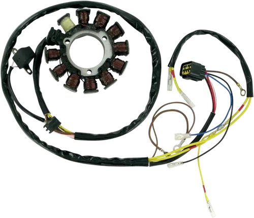 RICK'S MOTORSPORT ELECTRIC Stator 21-556