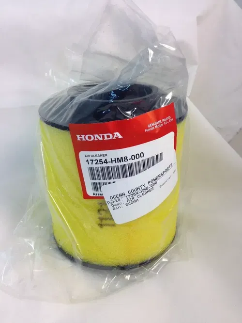 1997-2022 TRX250 TM TE Recon 2001-2023 TRX250X/EX HONDA OEM AIR FILTER ELEMENT