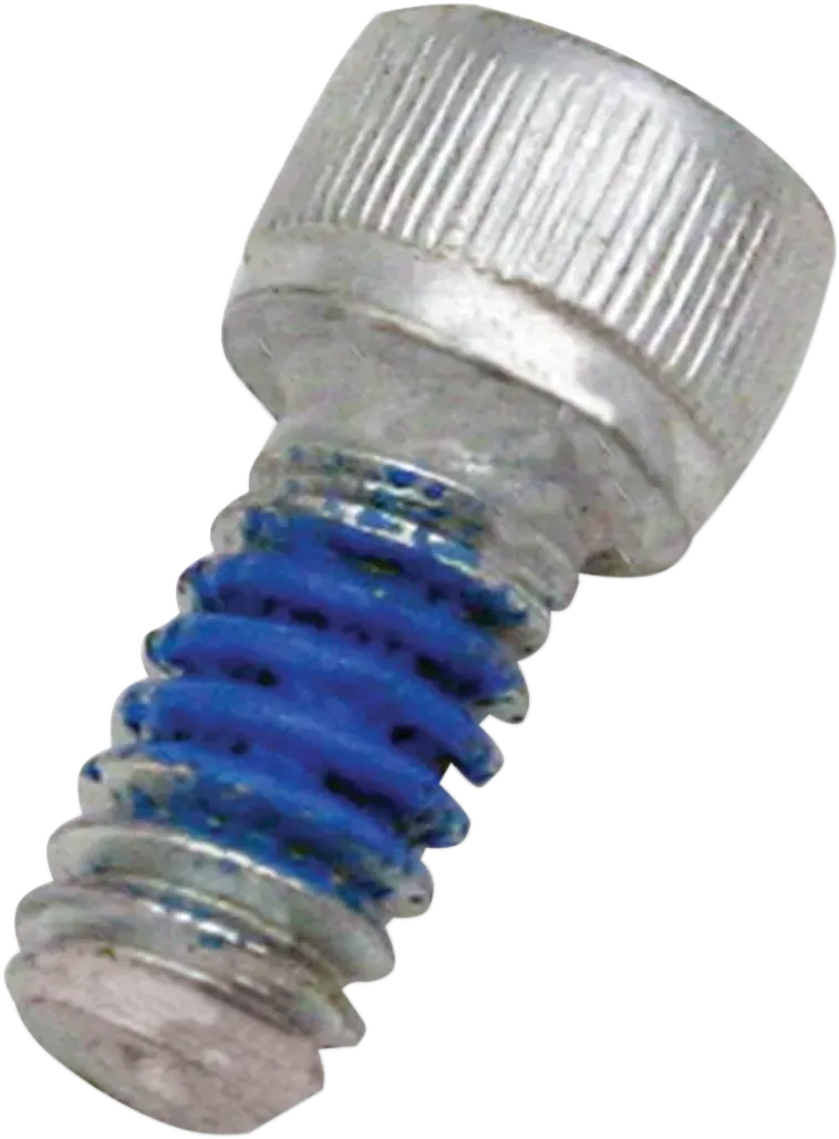 S&amp;S CYCLE Fits Replacement Air Cleaner Screw - Backplate - 1/4"-20 X 1/2"