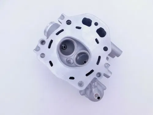 NEW OEM HONDA CYLINDER HEAD TRX420 TRX500 SXS500 2006-2021 12200-HP7-A01
