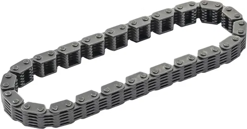 HARDDRIVE Primary Cam Chain Fits Tc 88" Outer Repl 87055