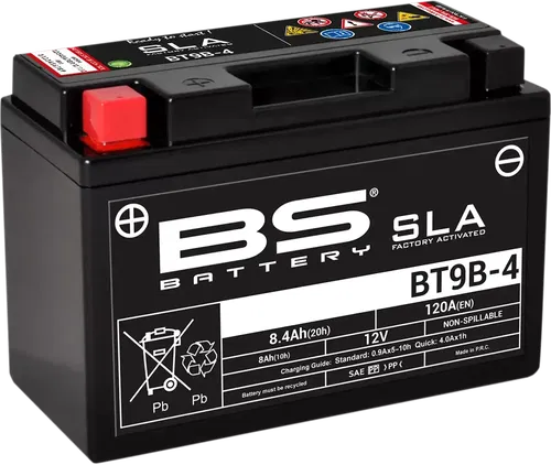 BS BATTERY SLA Factory- Activated AGM Maintenance-Free Battery BT9B-4 (YT)
