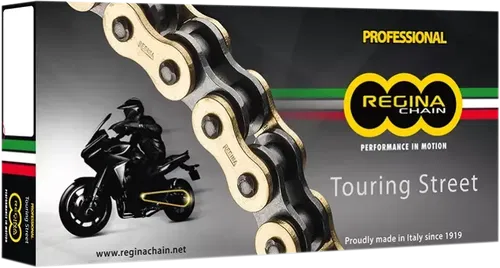 REGINA 530 ZRT Series Z-Ring Hollow Rivet Master Connecting Link (Gold)