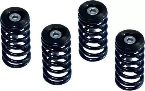 Barnett Spring Kit Black #519-25-06095 Ducati
