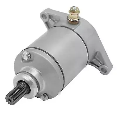 Ricks Electric Starter Motor Arctic Cat 375 400 & Suzuki LT-F400 Eiger LT-F400