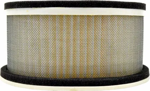 Air Filter Replaces Yamaha 5LV-14451-00-00 Emgo 12-95844 For 01-05 FZ1