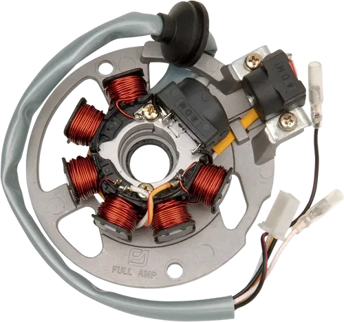 RICK'S MOTORSPORT ELECTRIC Stator Fits 21-550