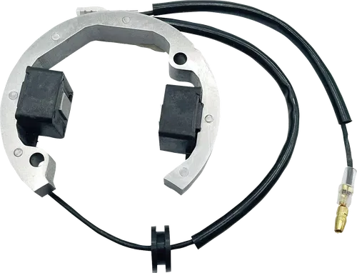 RICK'S MOTORSPORT ELECTRIC Stator - Fits Husqvarna/KTM 21-0093