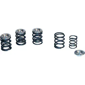 Valve Spring Kit for Big Twin DS-199729 S&S Cycle