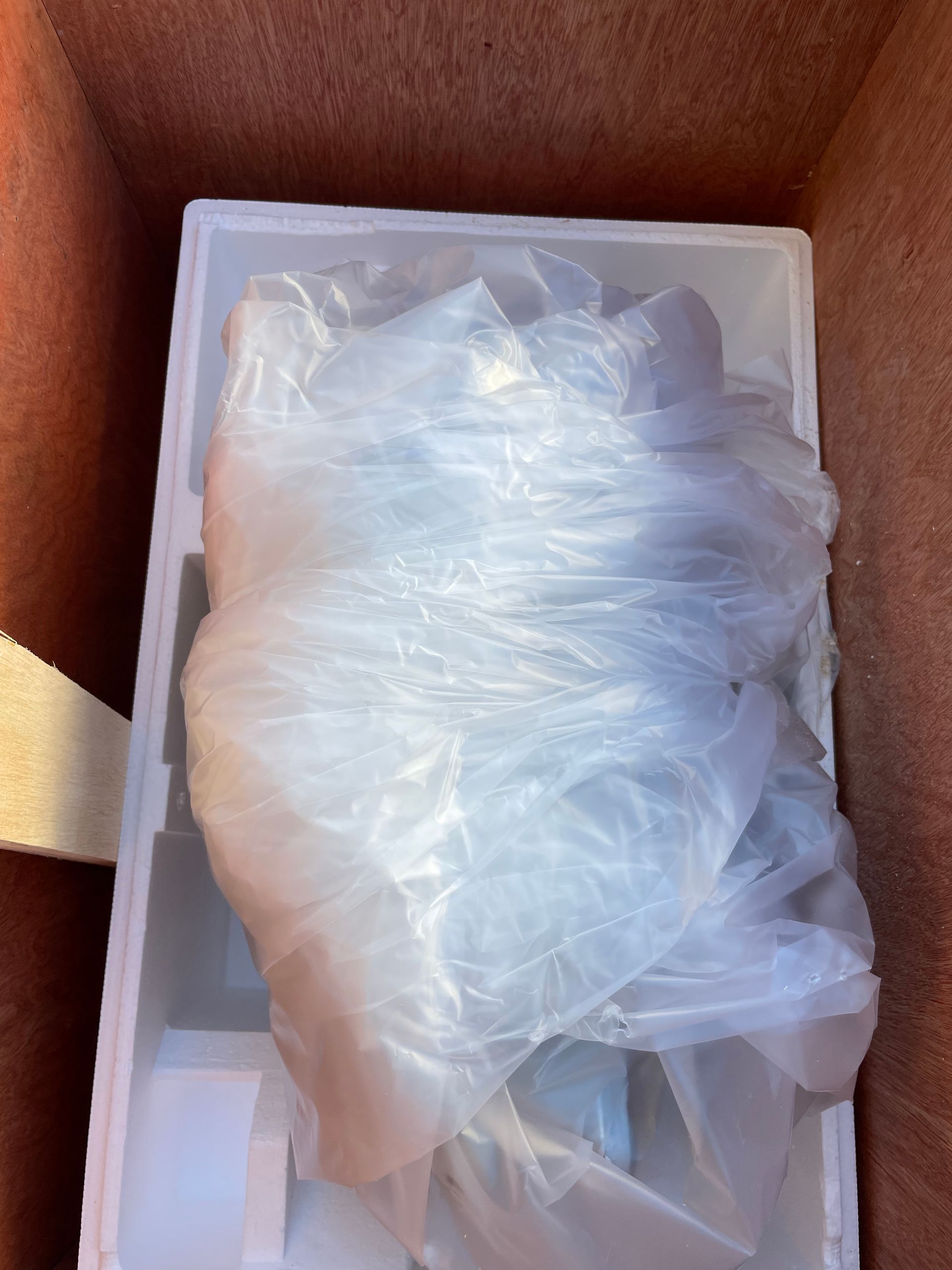 NEW 2025 YZ250F Engine