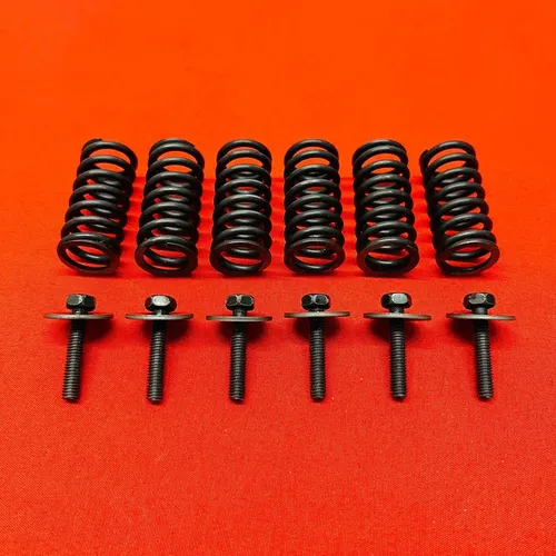 RM250 CLUTCH SPRINGS BOLTS GENUINE OEM SUZUKI RM 250 (1996-2008)