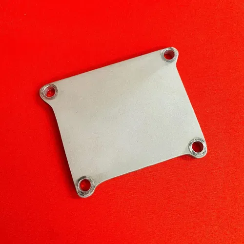 RM125 Reed Cover Plate Wash Guard Plug Genuine OEM SUZUKI RM 125 (2001-2008)