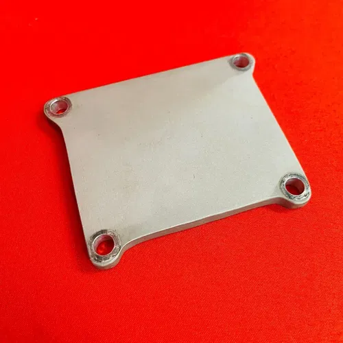 RM125 Reed Cover Plate Wash Guard Plug Genuine OEM SUZUKI RM 125 (2001-2008)