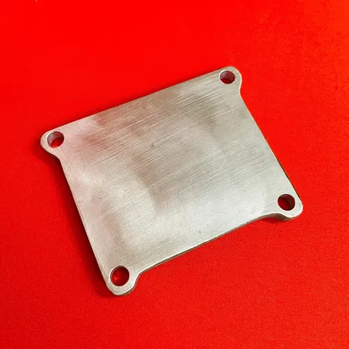RM125 Reed Cover Plate Wash Guard Plug Genuine OEM SUZUKI RM 125 (2001-2008)