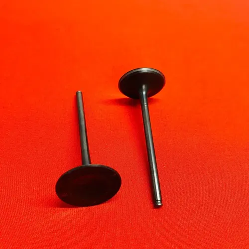KX250F Intake Valves Genuine OEM KAWASAKI KX 250 F (2004-2016)