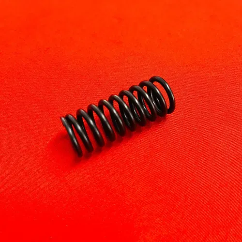 KX250F Valve Spring Intake Exhaust Genuine OEM KAWASAKI KX 250 F (2011-2016)