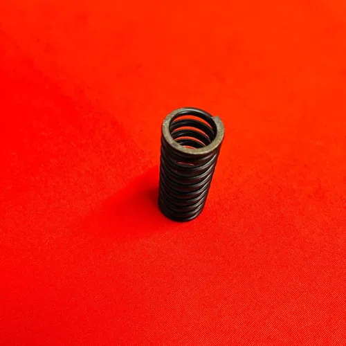 KX250F Valve Spring Intake Exhaust Genuine OEM KAWASAKI KX 250 F (2011-2016)