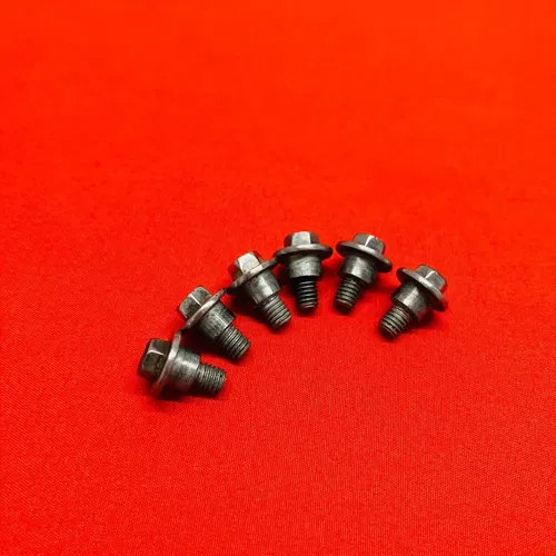 KTM200 Fork Guards Covers Bolts Genuine OEM KTM 125 200 SX EXC MXC (2001-2003)