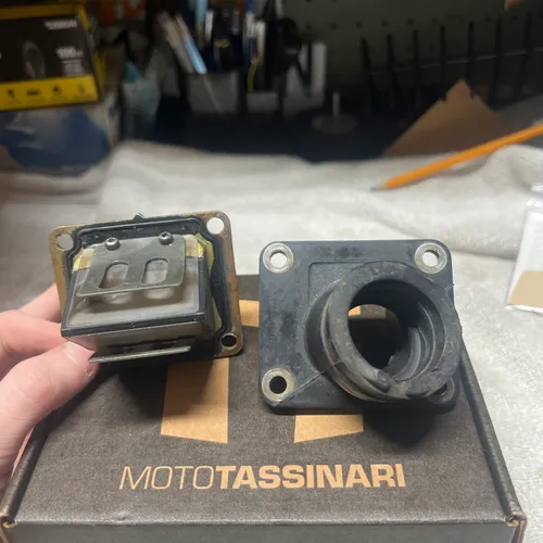 02-18 OEM Reeds And Intake 