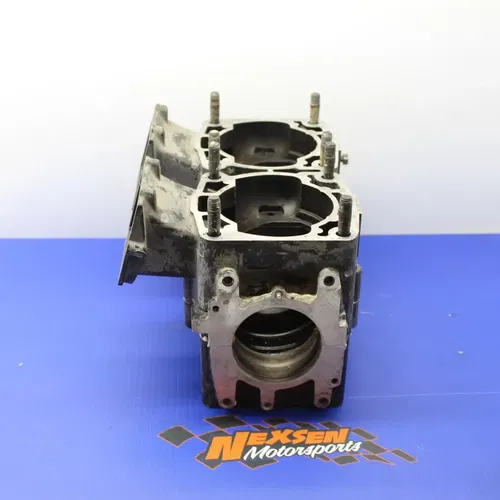 2002 Polaris Freedom Engine Motor Crankcase Crank Cases Block