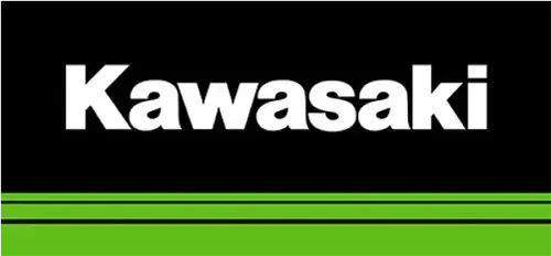 Kawasaki NOS Step, RH, (Silver) 34028-1445-CE
