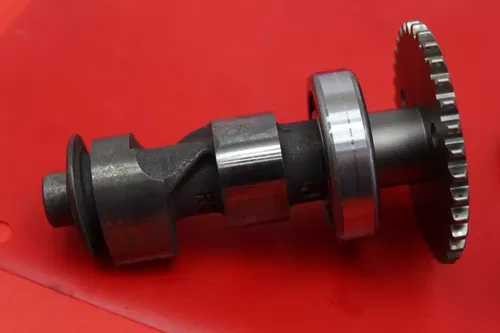2004 Honda Sportrax 250 Engine Motor Cam Shaft Camshaft