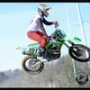prostatus491