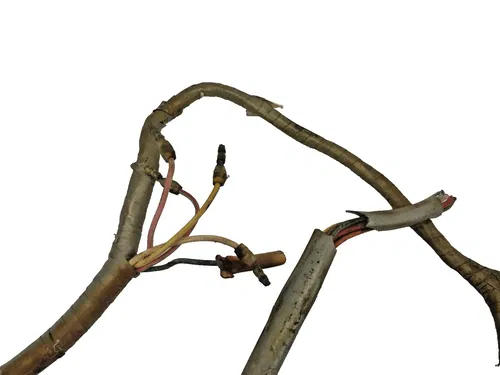 1967 Honda CT90 Wiring Harness